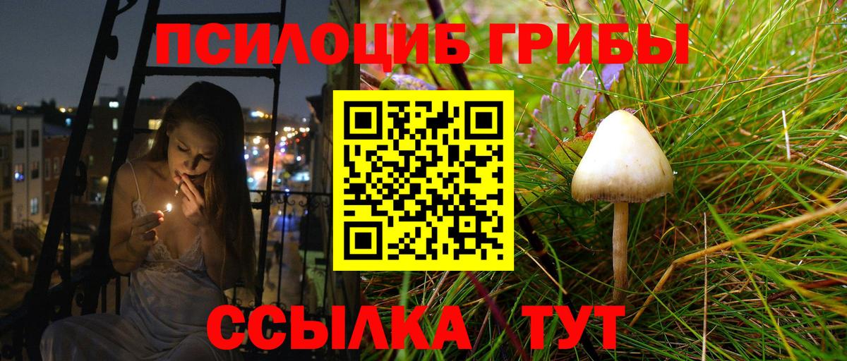 Псилоцибиновые грибы прущие грибы  Псилоцибиновые грибы прущие грибы  Вход с VPN  Саяногорск 