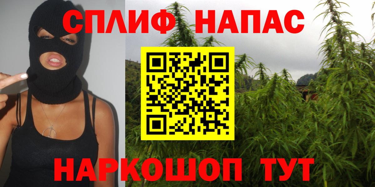 Конопля планчик Саяногорск